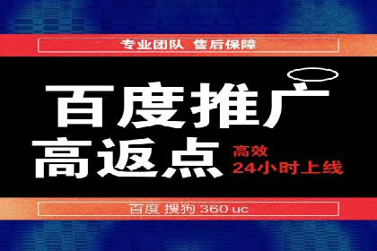 案例解析：如何通过百度推广实现快速转化