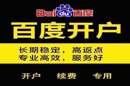 SEM优化实战：案例分析与优化建议